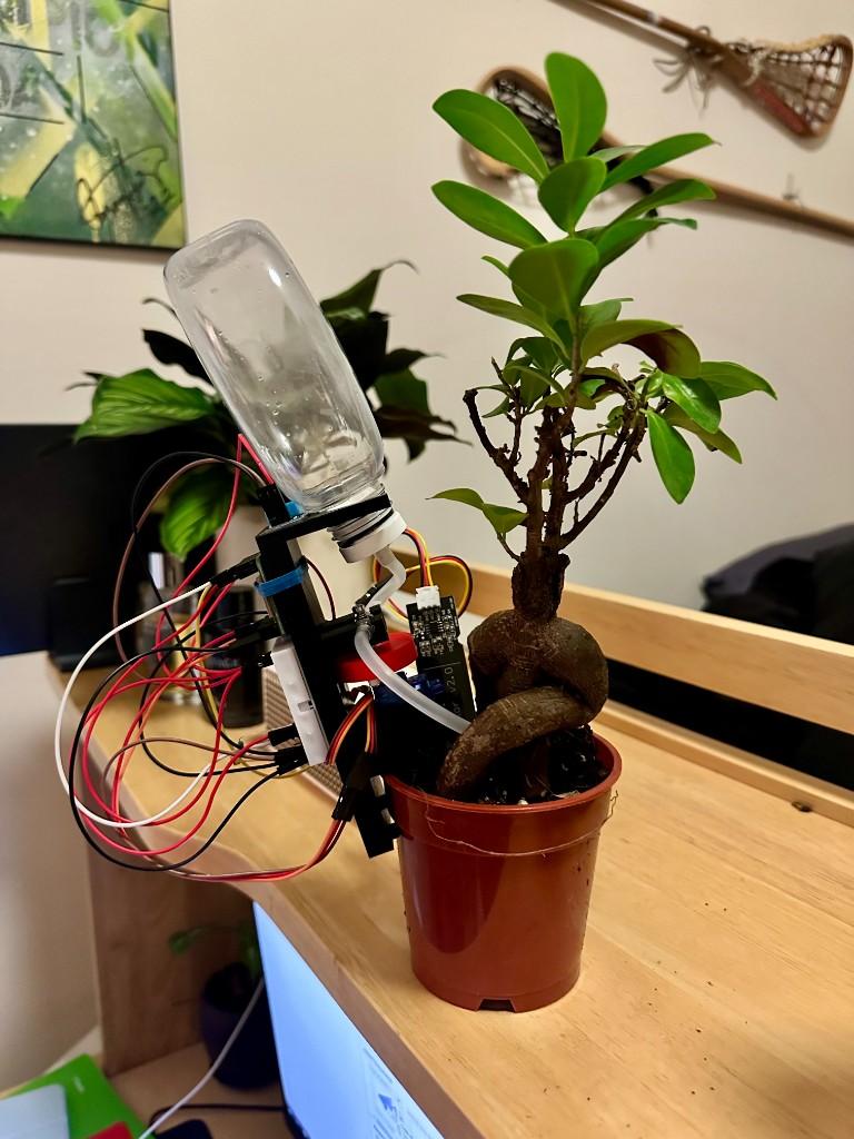 Automated plant watering prototype